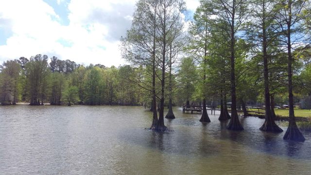 138 Pineridge Road, Eutawville, SC 29048