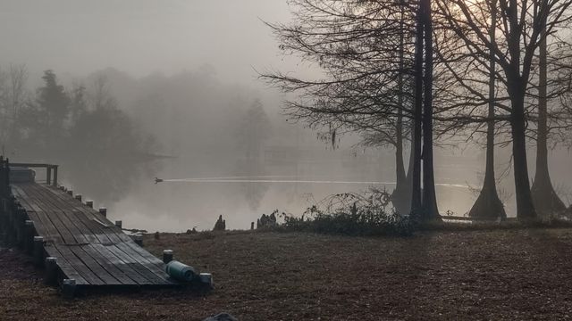 138 Pineridge Road, Eutawville, SC 29048