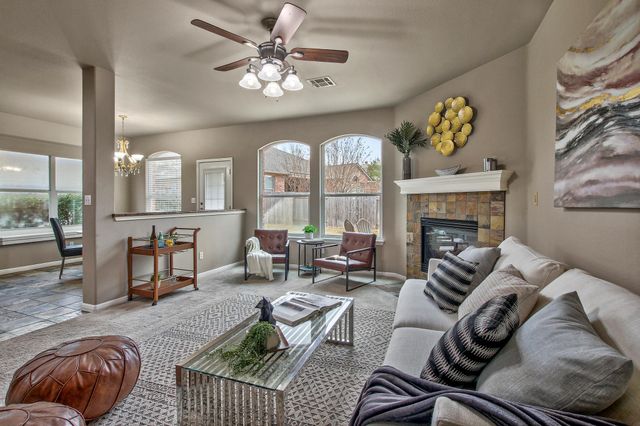 915 Mesquite Hollow PL, Round Rock, TX 78665