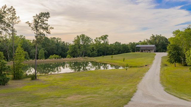 420 Eagle Court Rd, New Diana, TX 75640