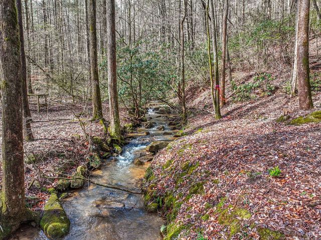641 Bryant Farm Lane, Ellijay, GA 30540