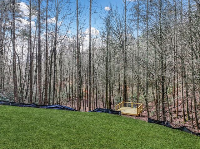 641 Bryant Farm Lane, Ellijay, GA 30540