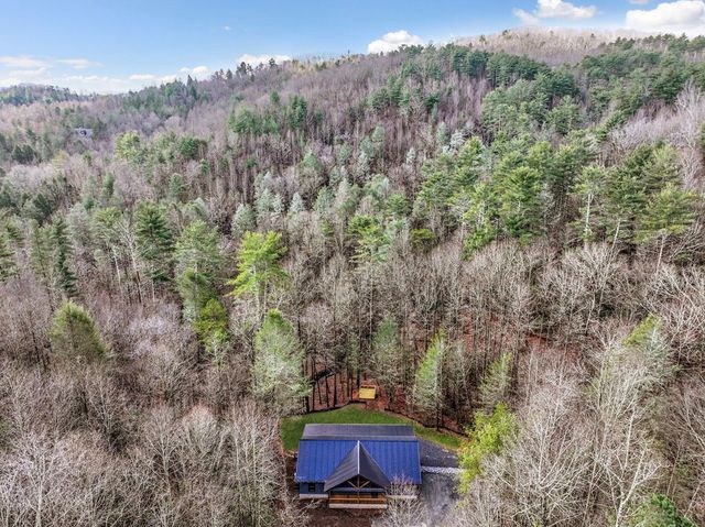 641 Bryant Farm Lane, Ellijay, GA 30540