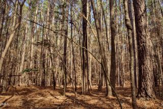 7023 Southern Trail, Chapel Hill, NC 27516