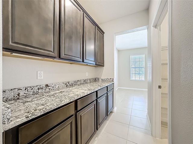 13071 BROOKSIDE MOSS DRIVE, Riverview, FL 33579