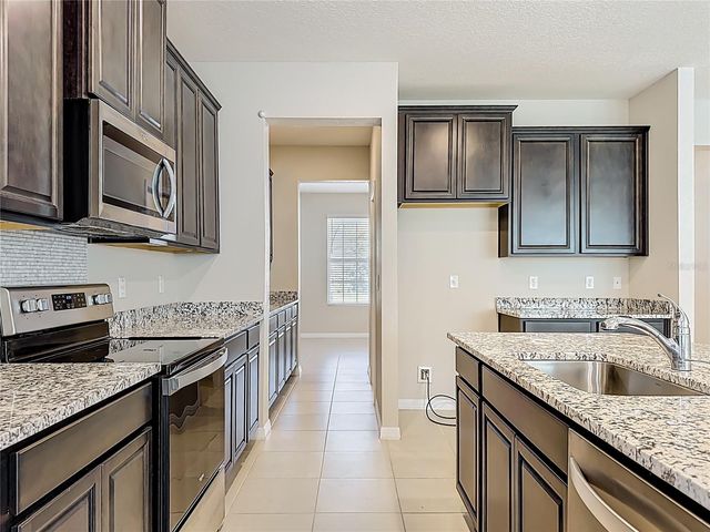 13071 BROOKSIDE MOSS DRIVE, Riverview, FL 33579
