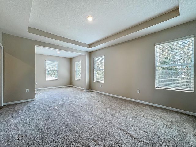 13071 BROOKSIDE MOSS DRIVE, Riverview, FL 33579