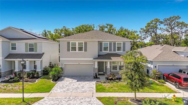 13071 BROOKSIDE MOSS DRIVE, Riverview, FL 33579