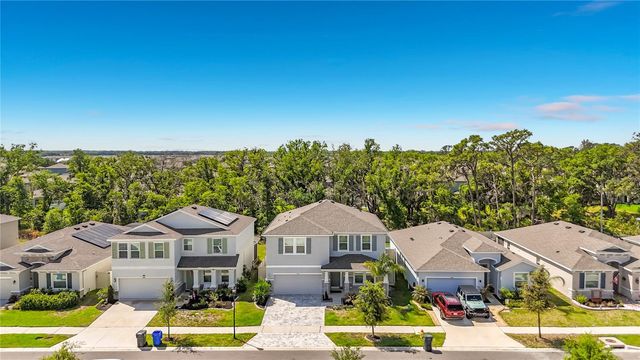 13071 BROOKSIDE MOSS DRIVE, Riverview, FL 33579