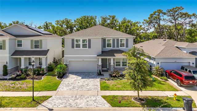 13071 BROOKSIDE MOSS DRIVE, Riverview, FL 33579