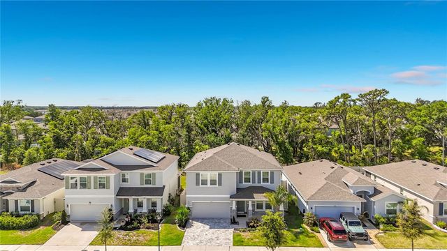 13071 BROOKSIDE MOSS DRIVE, Riverview, FL 33579