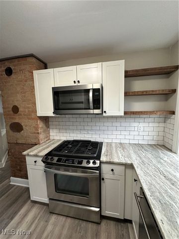 1445 W 52nd Street Down, Cleveland, OH 44102