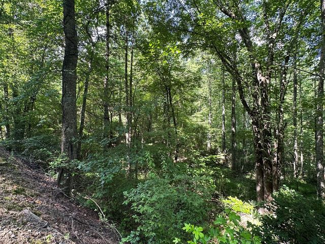 00 Choctaw Ridge Trail, Murphy, NC 28906