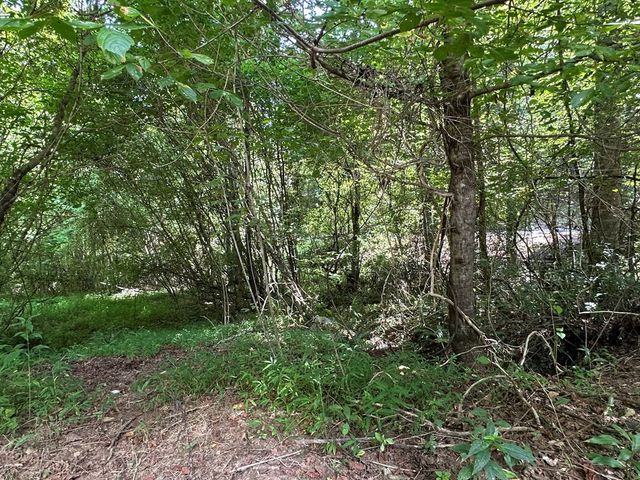 00 Choctaw Ridge Trail, Murphy, NC 28906