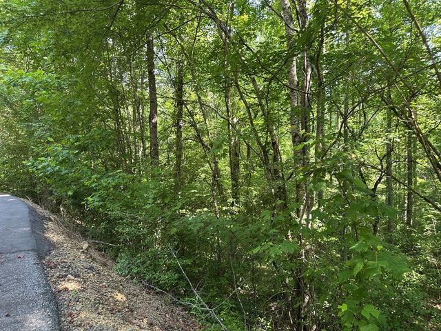 00 Choctaw Ridge Trail, Murphy, NC 28906