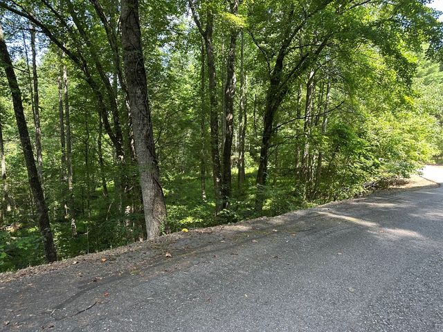 00 Choctaw Ridge Trail, Murphy, NC 28906