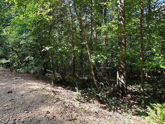 00 Choctaw Ridge Trail, Murphy, NC 28906