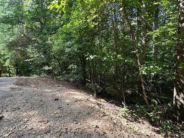 00 Choctaw Ridge Trail, Murphy, NC 28906