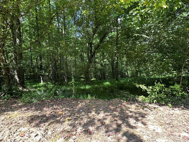 00 Choctaw Ridge Trail, Murphy, NC 28906