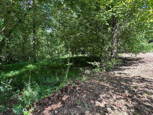 00 Choctaw Ridge Trail, Murphy, NC 28906