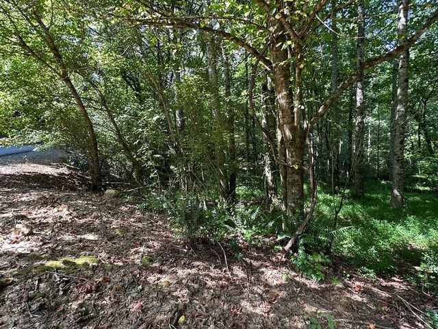 00 Choctaw Ridge Trail, Murphy, NC 28906
