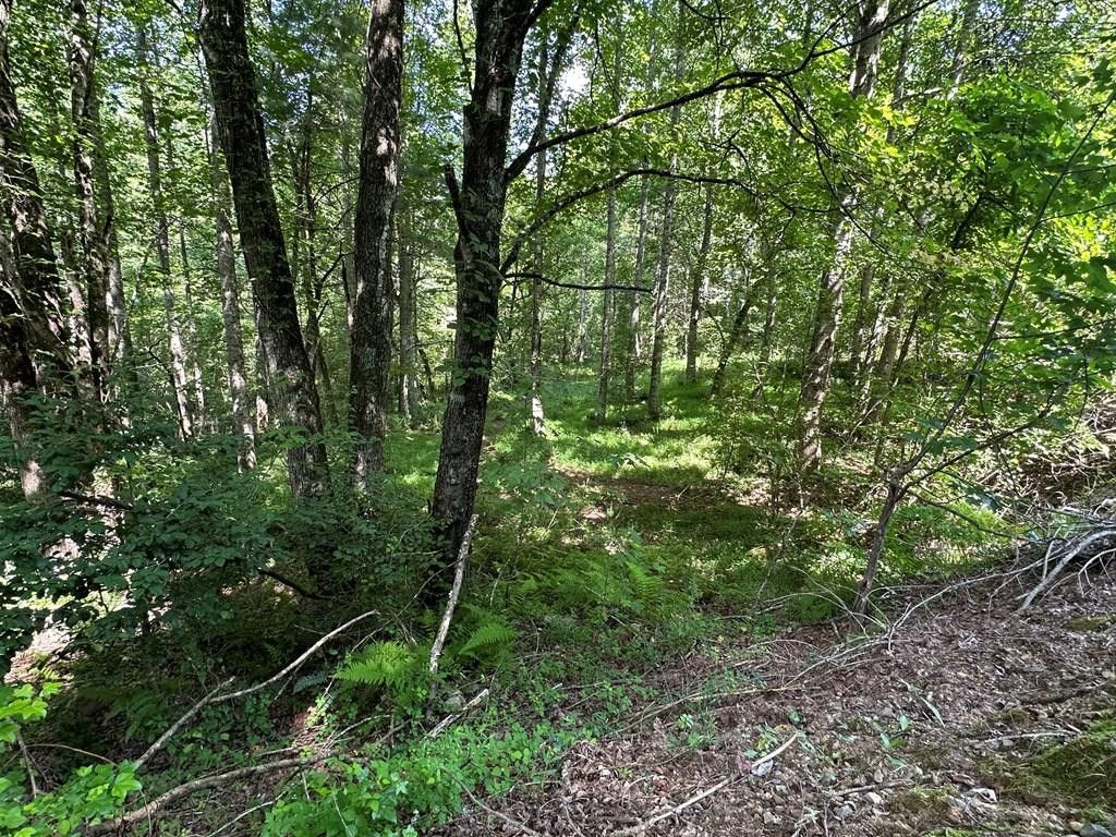 00 Choctaw Ridge Trail, Murphy, NC 28906