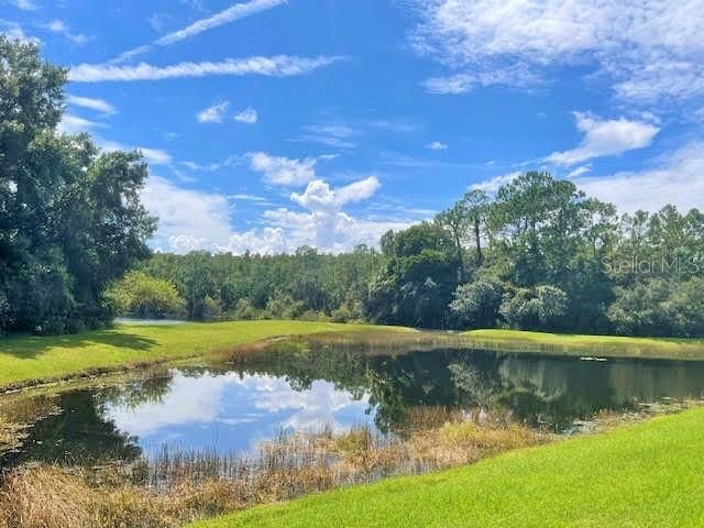 20010 RYMAN PLACE, Tampa, FL 33647