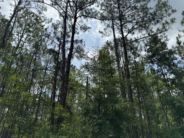 SW 143 PLACE, Ocala, FL 34473