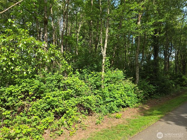0 NHN D Street, Blaine, WA 98230