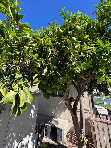 81620 Avenue 49 98a, Indio, CA 92201