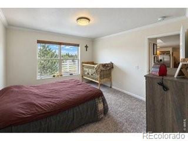15290 Dale Avenue, Fort Lupton, CO 80621
