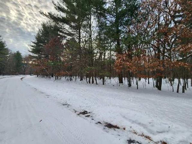 L28 and L29 S Badger Lane, Arkdale, WI 54613
