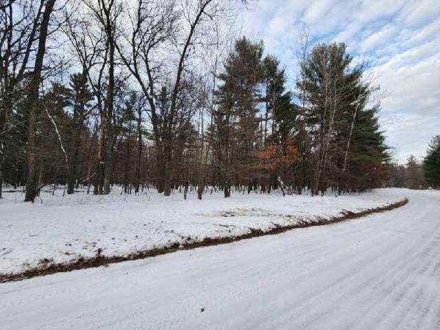 L28 and L29 S Badger Lane, Arkdale, WI 54613