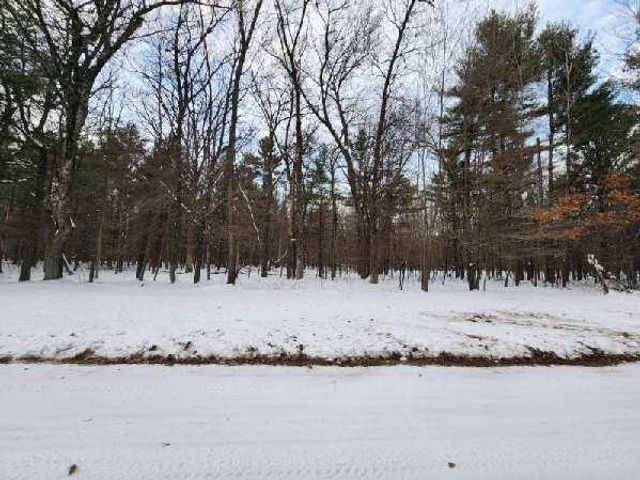 L28 and L29 S Badger Lane, Arkdale, WI 54613