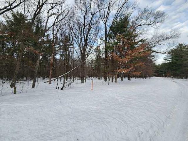 L28 and L29 S Badger Lane, Arkdale, WI 54613