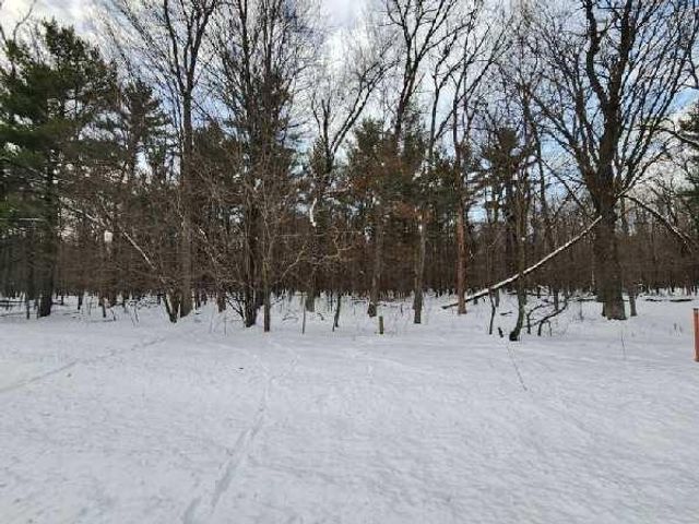 L28 and L29 S Badger Lane, Arkdale, WI 54613