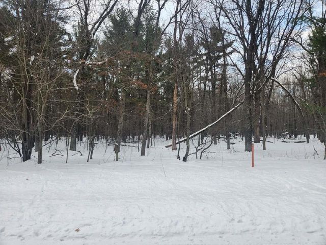 L28 and L29 S Badger Lane, Arkdale, WI 54613