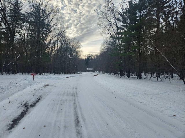 L28 and L29 S Badger Lane, Arkdale, WI 54613