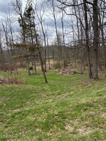 13516 Old Glory Rd, Lore City, OH 43755