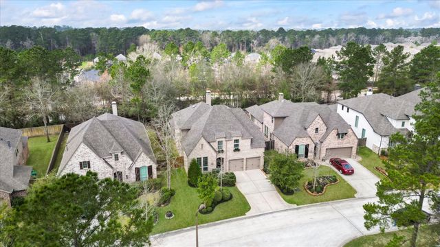 125 Russet Bend Place N, Montgomery, TX 77316