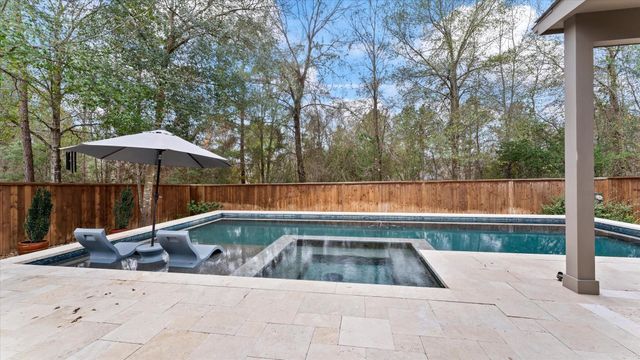 125 Russet Bend Place N, Montgomery, TX 77316