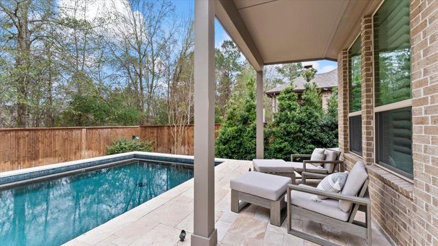 125 Russet Bend Place N, Montgomery, TX 77316