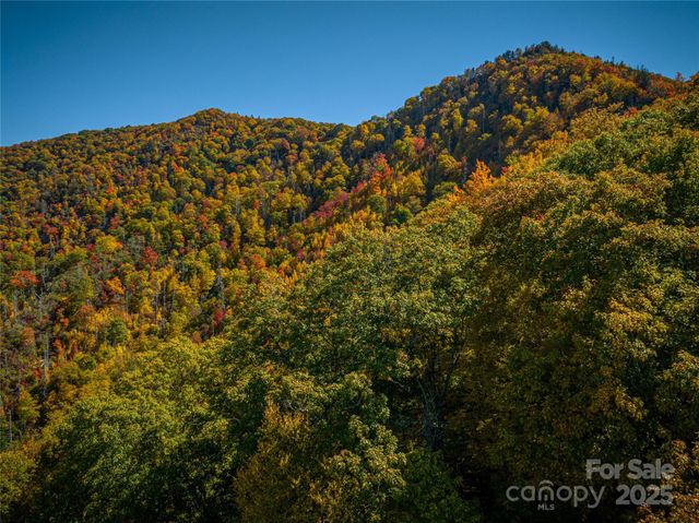 205 Chickadee Lane 205, Maggie Valley, NC 28751
