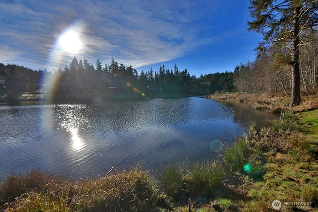 1015 Honeymoon Lake Drive, Greenbank, WA 98253