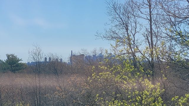 23 Desmond Road 2, Malden, MA 02148