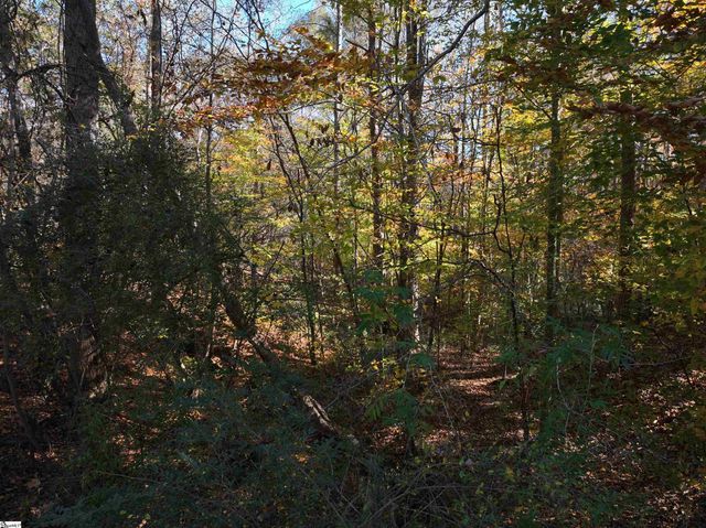 01 Blair Road, Laurens, SC 29630