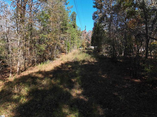 01 Blair Road, Laurens, SC 29630