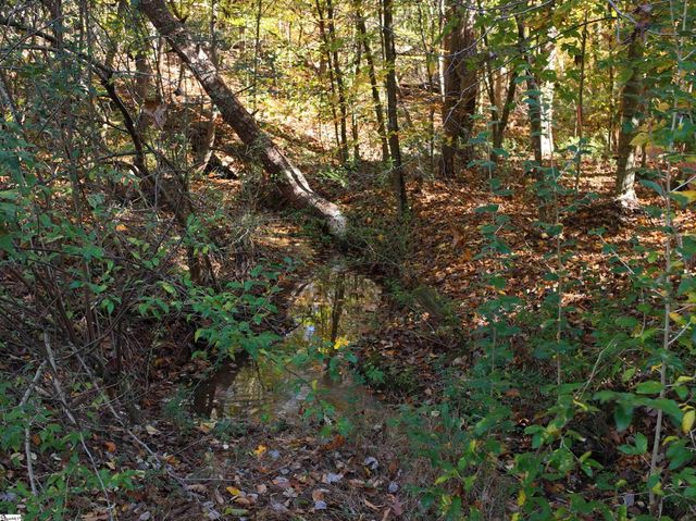 01 Blair Road, Laurens, SC 29630