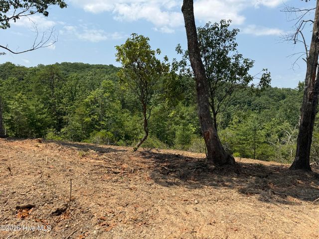 7 Avalon Crst Street, Murphy, NC 28906