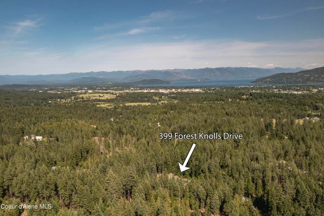 399 Forest Knolls Dr, Sandpoint, ID 83864
